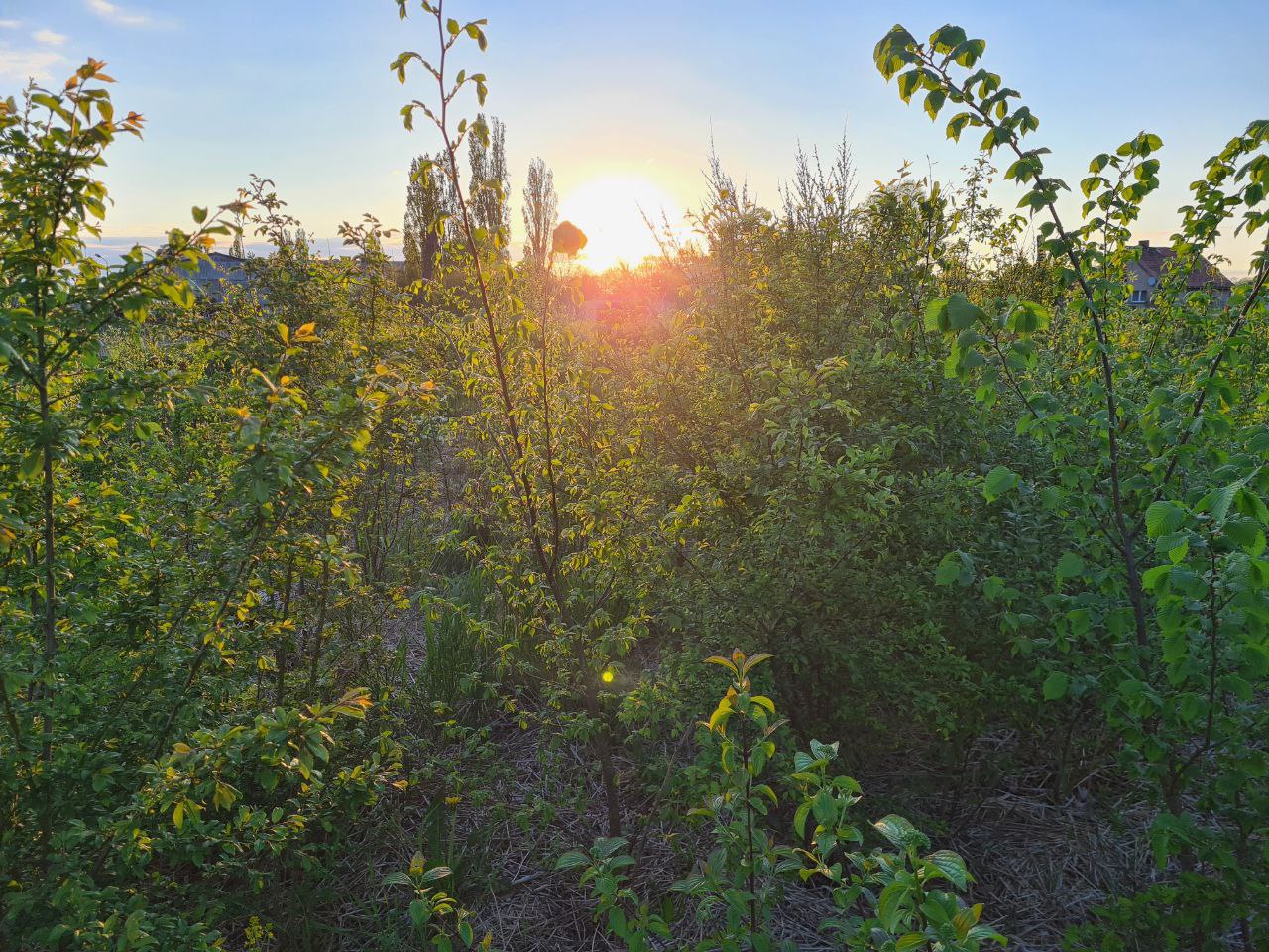 photo_2022-05-17_13-07-31